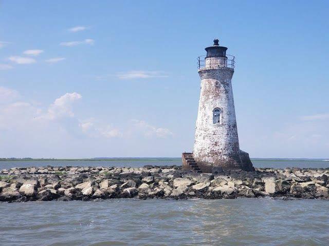 Captain Derek's Dolphin Adventure